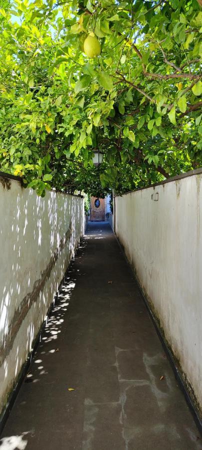 Апартаменти Casa Teresinella Garden Торре-Аннунціата Екстер'єр фото